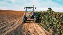 SLC Agrícola (SLCE3) lucra R$ 139,8 milhões, queda de 56,5% no ano