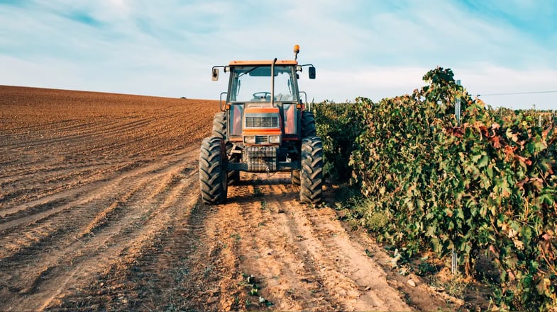 SLC Agrícola (SLCE3) lucra R$ 139,8 milhões, queda de 56,5% no ano