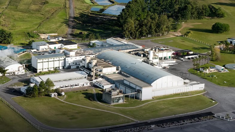 Marfrig (MRFG3) tem lucro líquido de R$ 88 mi no 1º trimestre