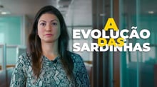 Evolução das sardinhas: hora de ser mais prudente na bolsa