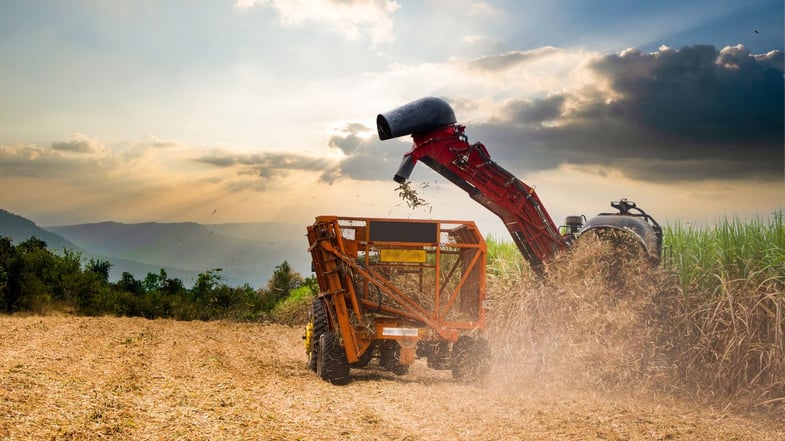 Desempenho do agronegócio em 2024 pode ser afetado pelo El Niño