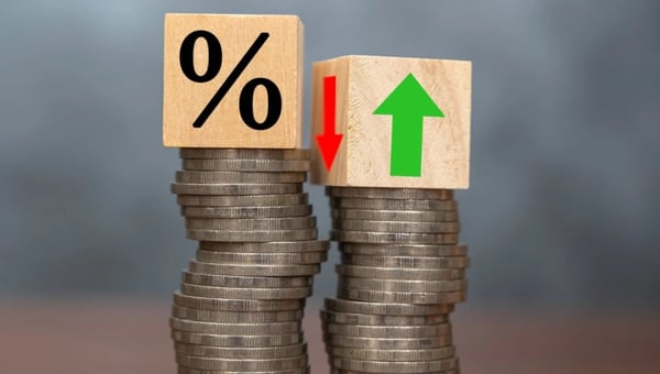 Dividend payout: o que é e como montar uma carteira de dividendos