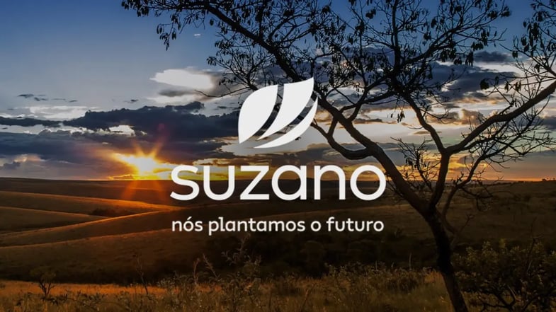 Lucro da Suzano (SUZB3) cai -32% no 1T26, com impacto do câmbio