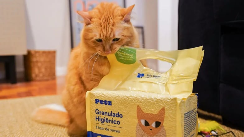 Lucro da Petz (PETZ3) dispara 40% no 3T25, para R$ 31 milhões