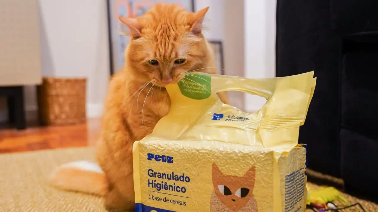 Lucro da Petz (PETZ3) dispara 40% no 3T25, para R$ 31 milhões