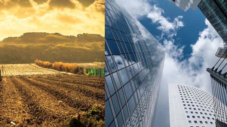 Fiagros-FII ou FIIs: entenda as diferenças entre eles