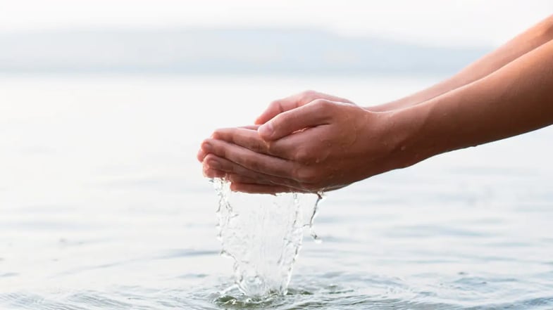 Água parada vs. água corrente: como organizar renda e patrimônio