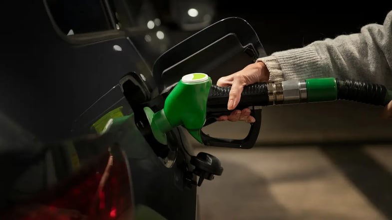 Dividendos da semana: Petrobras paga proventos aos acionistas