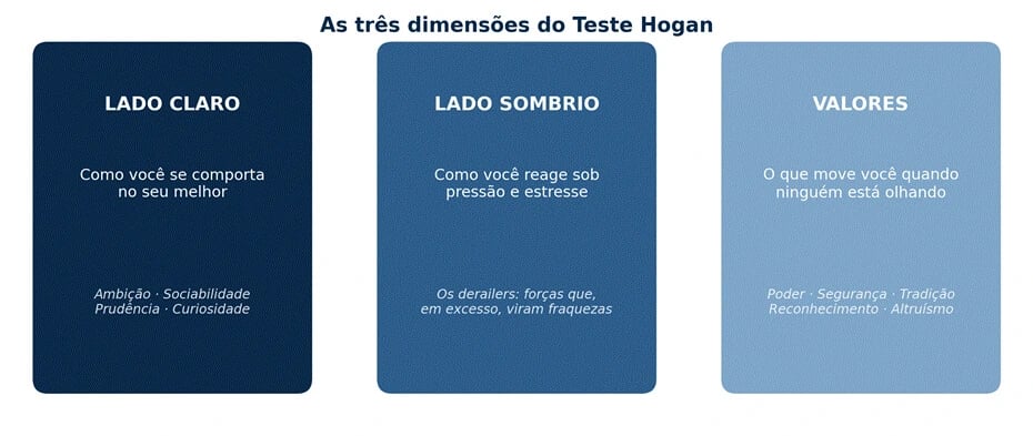 Diagrama com as três dimensões avaliadas pelo Teste Hogan: lado claro (comportamento no melhor momento), lado sombrio (reação sob pressão) e valores (o que motiva a pessoa)