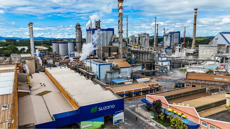 Suzano (SUZB3) lucra R$ 6,3 bi no 1T25, mas não recomendamos; veja o motivo