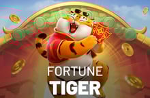 Jogo do Tigrinho vale a pena?