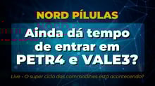 Vale e Petrobrás estão caras demais?