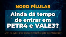 Vale e Petrobrás estão caras demais?