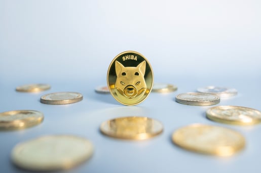 O que é Shiba Inu Coin? Entenda os detalhes sobre a criptomoeda