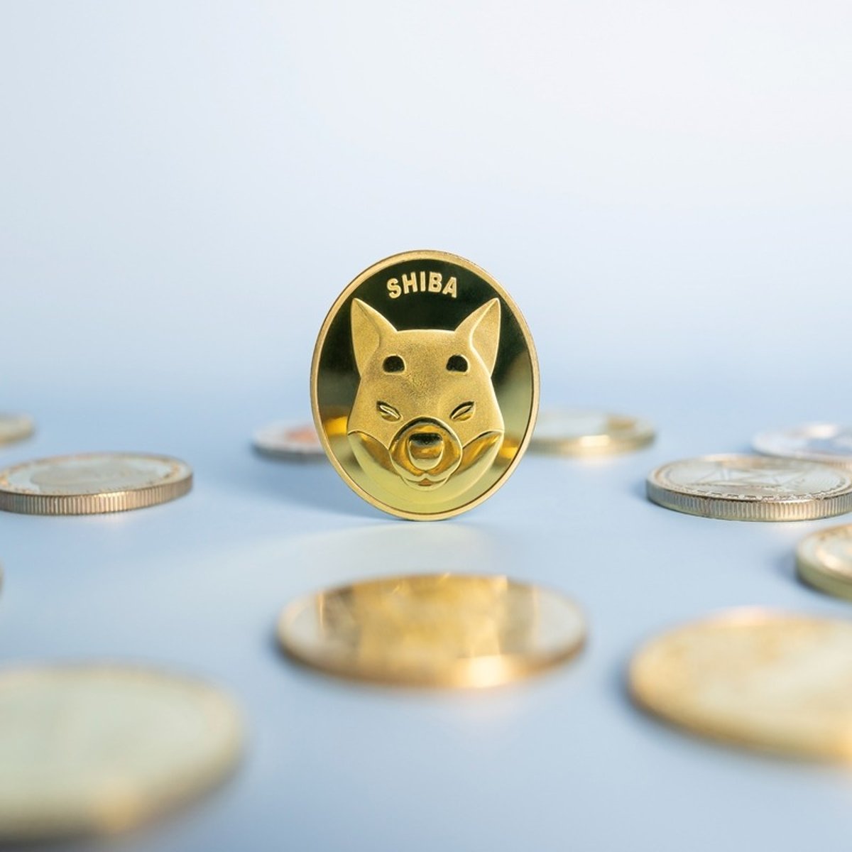 O que é Shiba Inu Coin? Entenda os detalhes sobre a criptomoeda