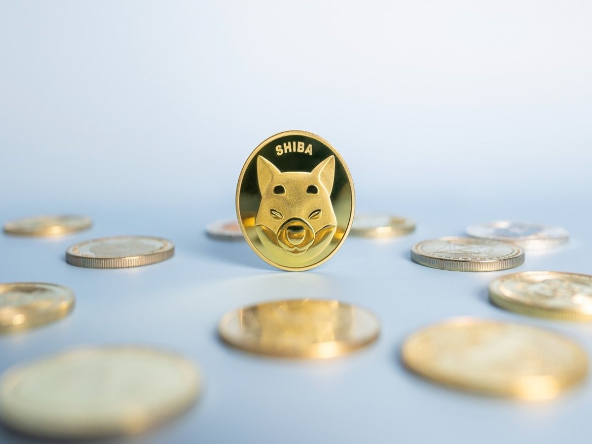 O que é Shiba Inu Coin? Entenda os detalhes sobre a criptomoeda