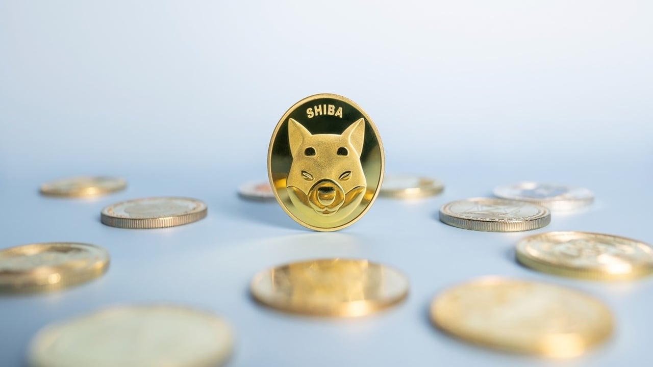 O que é Shiba Inu Coin? Entenda os detalhes sobre a criptomoeda