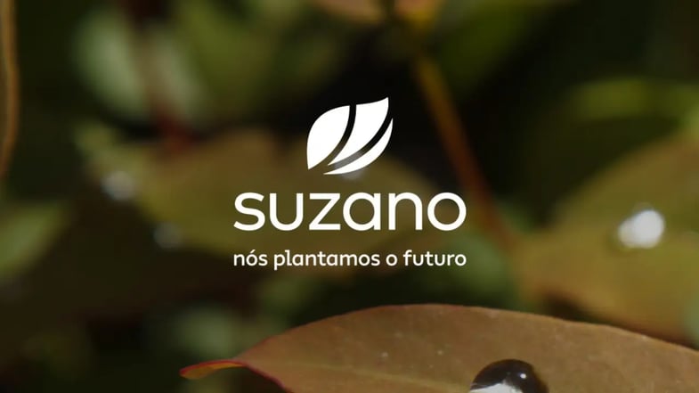 Suzano (SUZB3) reverte prejuízo e lucra R$ 116 mi no 4T25