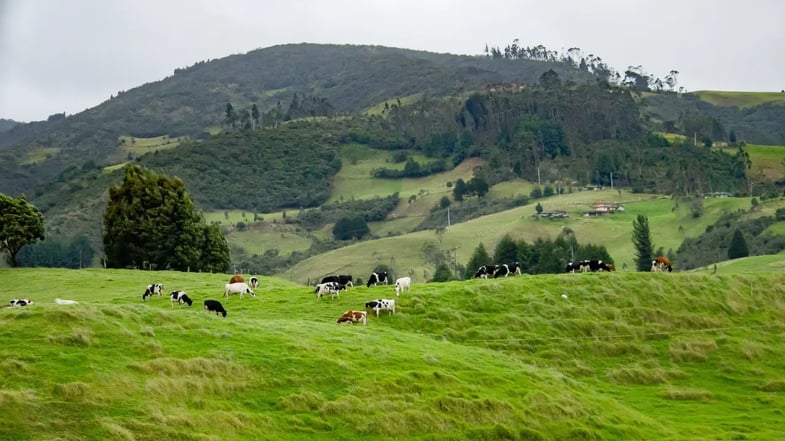 Boletim de FIIs: Venda da fazenda Clarão da Lua pelo RZTR11 rende R$ 108 milhões; veja detalhes
