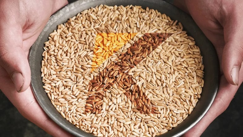 3T25 da Kepler Weber (KEPL3) demonstra casa em ordem e bons dividendos