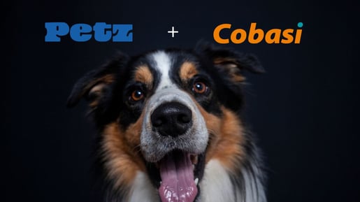 É hora de comprar PETZ3 após acordo de fusão com a Cobasi?