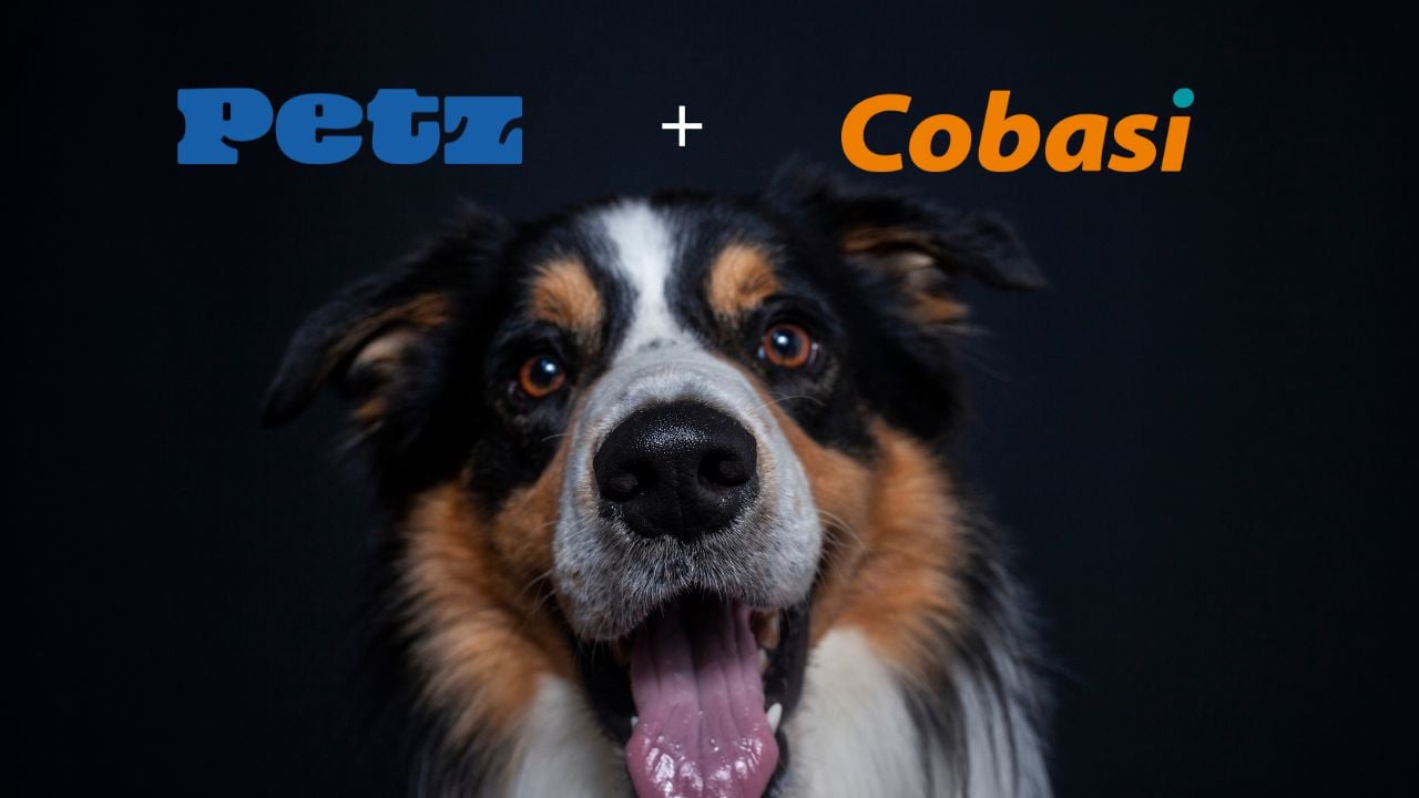 É hora de comprar PETZ3 após acordo de fusão com a Cobasi?