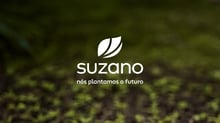 Suzano 3T25: lucro recua 39%, Ebitda pressiona margens