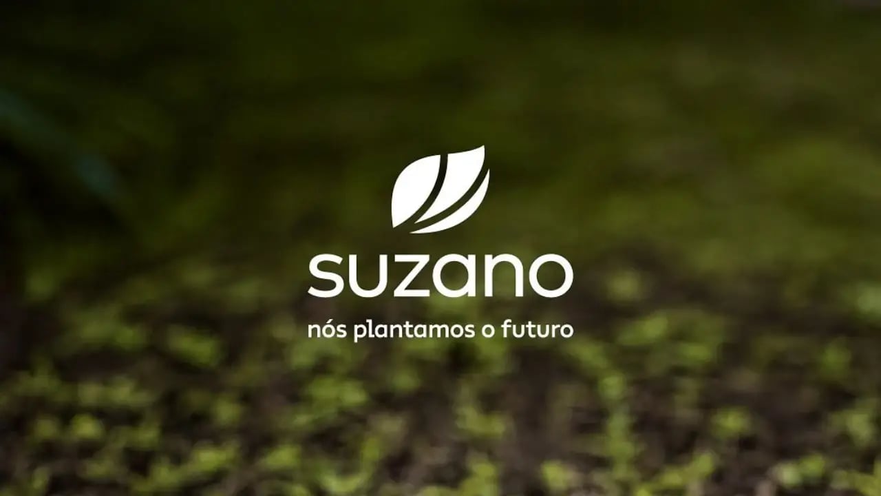 Suzano 3T25: lucro recua 39%, Ebitda pressiona margens