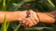 Plano Safra 2025/2026 destina R$ 516,2 bi à agricultura empresarial