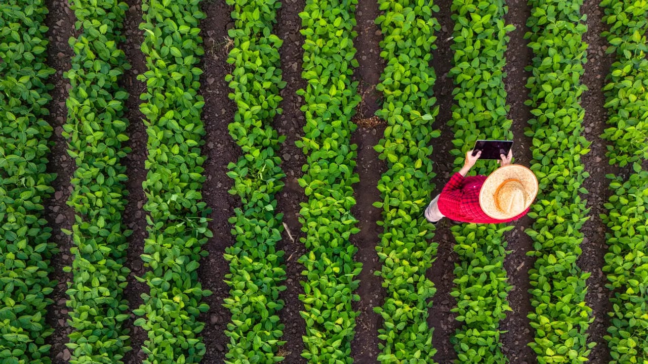 3tentos (TTEN3) tem lucro recorde no 2025. É hora de comprar ou vender?