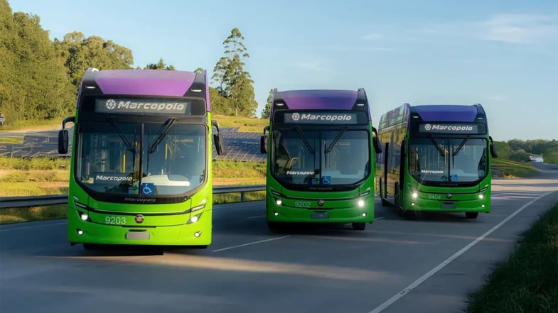 Marcopolo (POMO3): uma ação de dividendos fora do óbvio para 2026