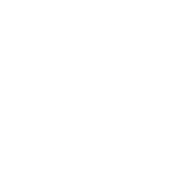 Logo NTAP