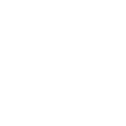 Logo VFC