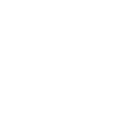 Logo DHI