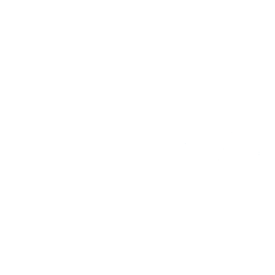 Logo FAST