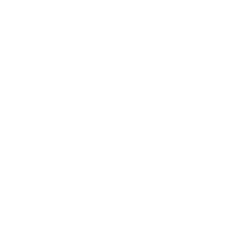 Logo AIG