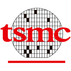 Logo TSM