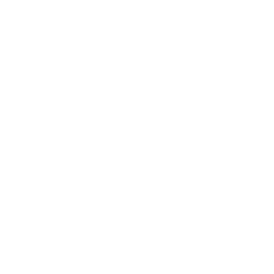 Logo APH