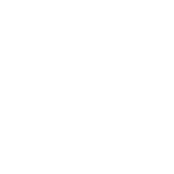 Logo WYNN