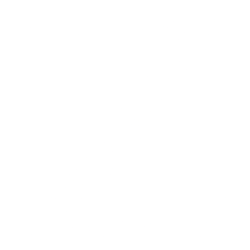 Logo ZION