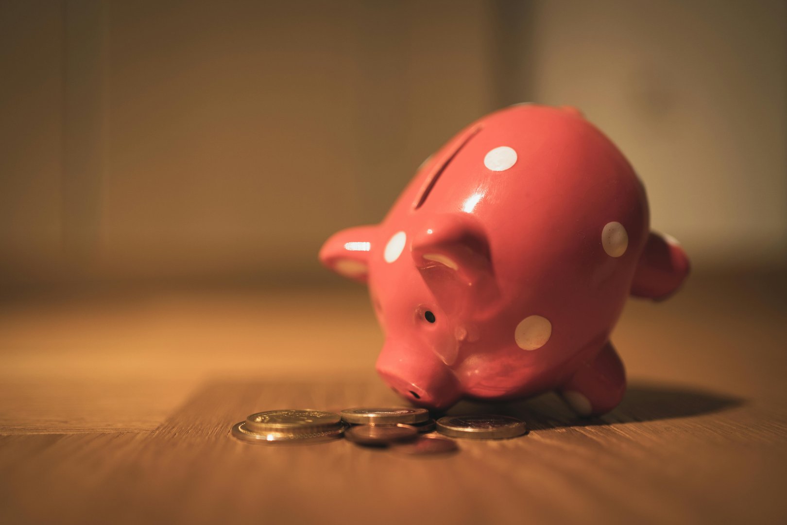 O que fazer com a restituição do Imposto de Renda 2025