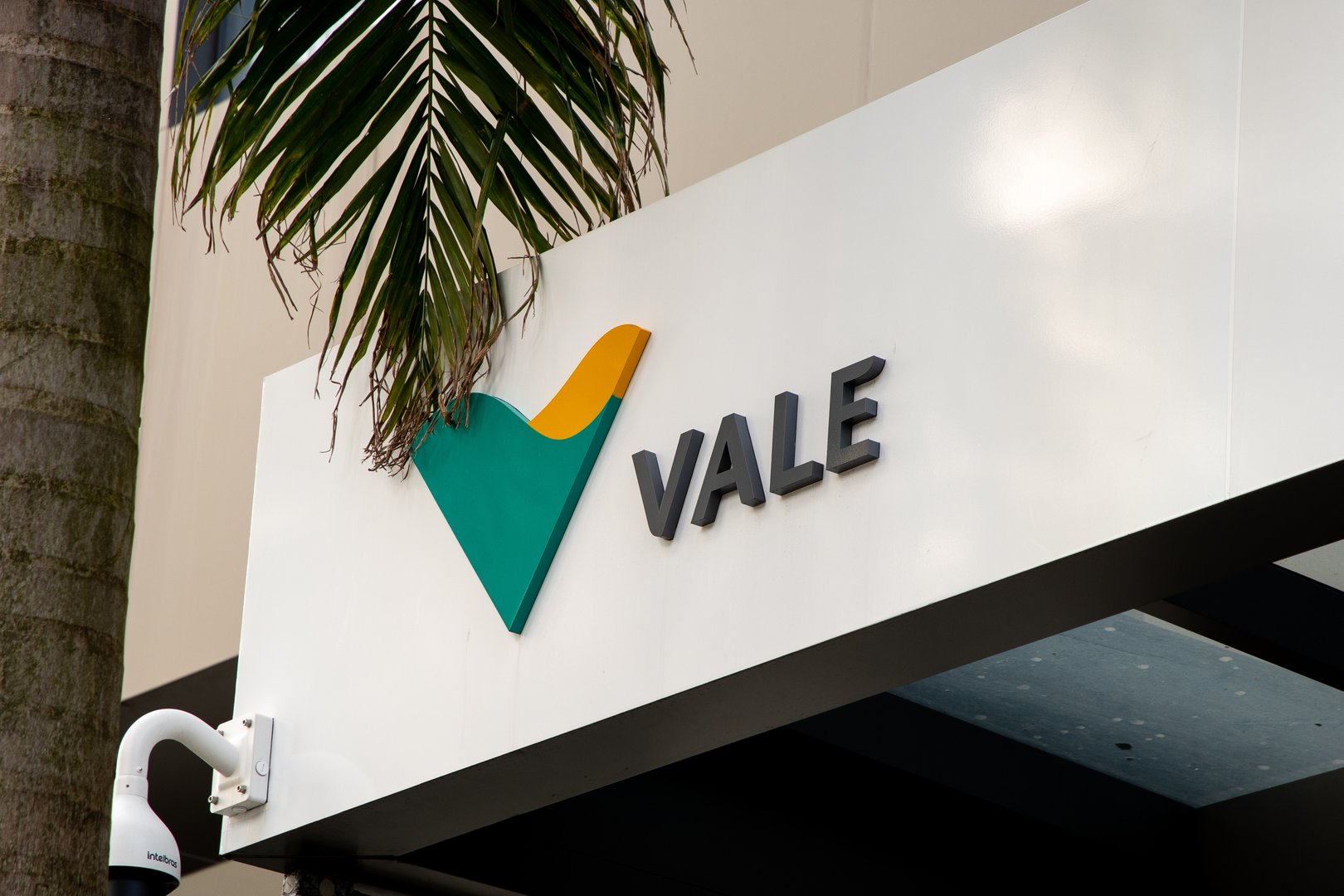 Resultados da Vale no 1T25: o que esperar da VALE3?