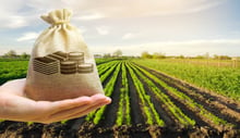Lista de Fiagros por tipo: Modalidades de fundos de investimento em agropecuária