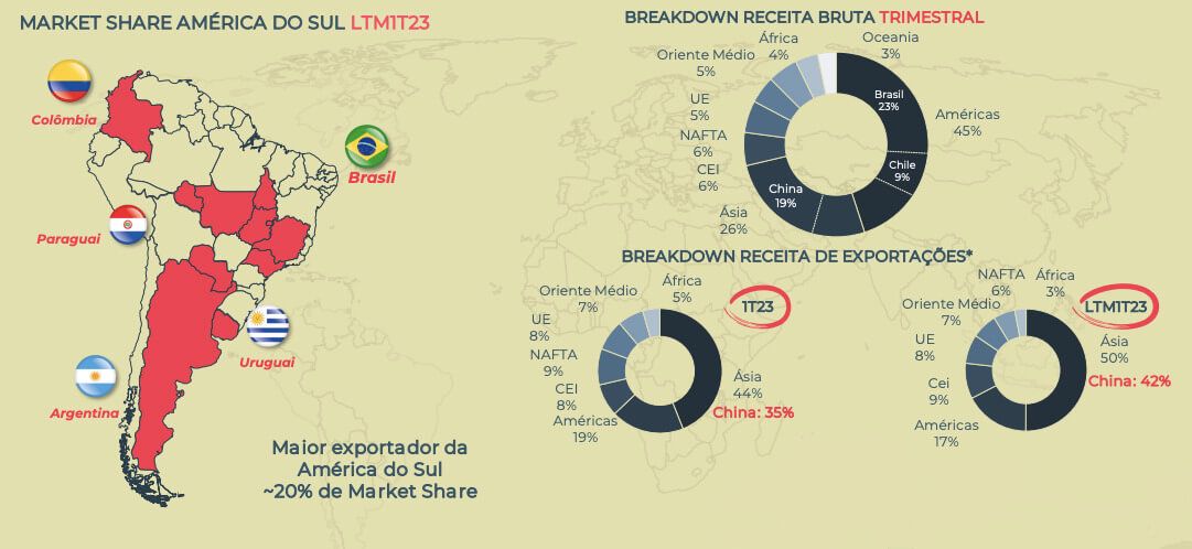 Market share da Minerva