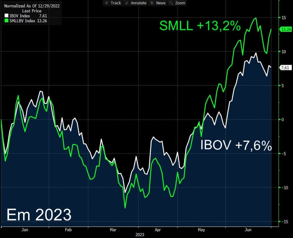 SMAL11 acumula alta de 13,2% nos 6 primeiros meses de 2023, enquanto o IBOV sobe 7,6%