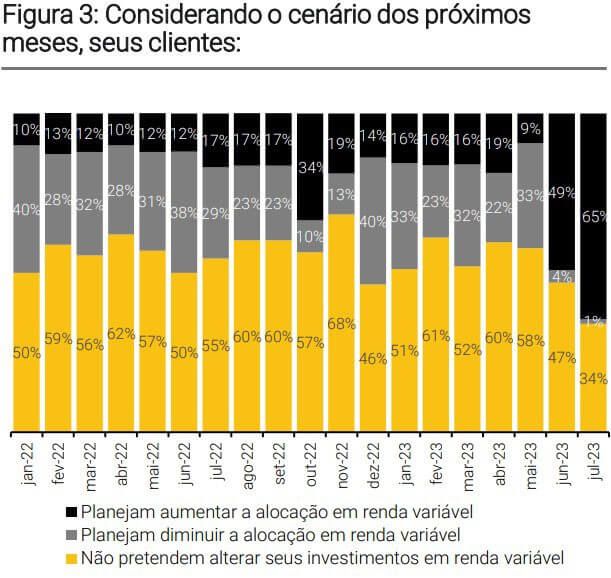 Alocação em renda variável, estudo XP