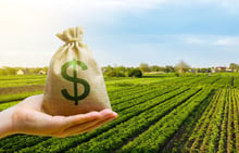 Certificados de Recebíveis do Agronegócio: como investir no agronegócio