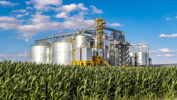 Letras de Crédito do Agronegócio: o que são e como investir