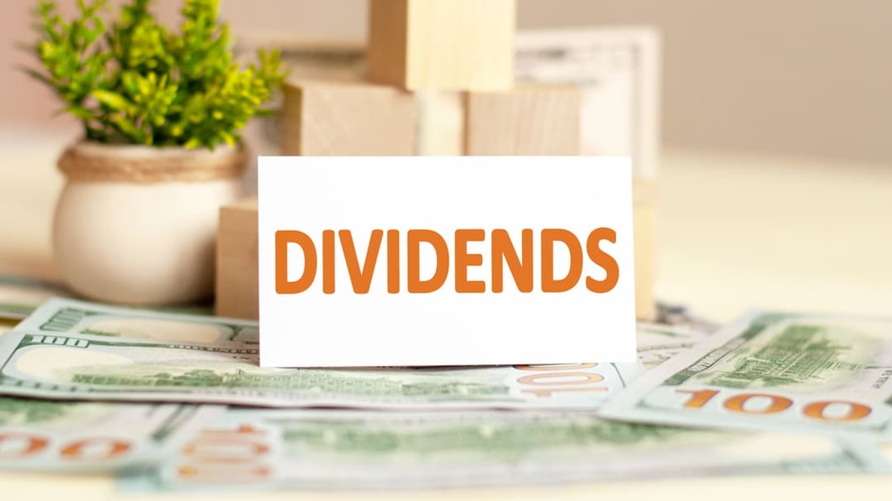 Dividend yield: como calcular e interpretar o indicador | Nord News