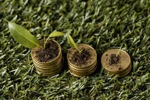 Green bonds: o que são e como investir em títulos verdes